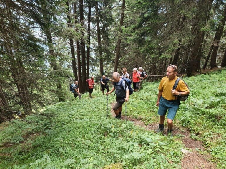 Seniorenwanderung Vorarlberg 50plus Höchst auf den Hüttenkopf im Großen Walsertal - Image 18